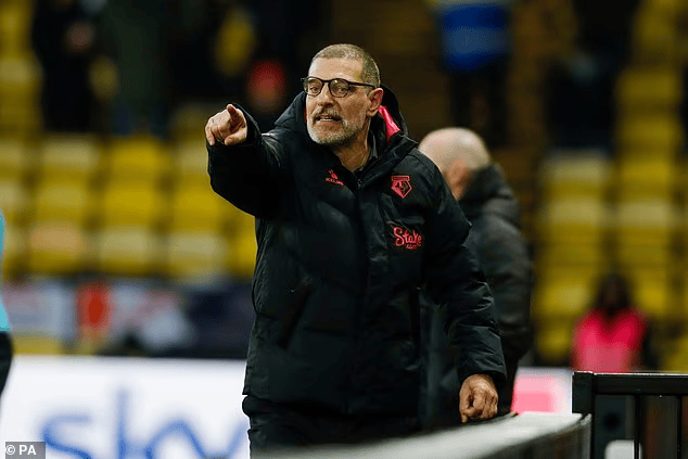 最新报道, AA 最新报道, AA