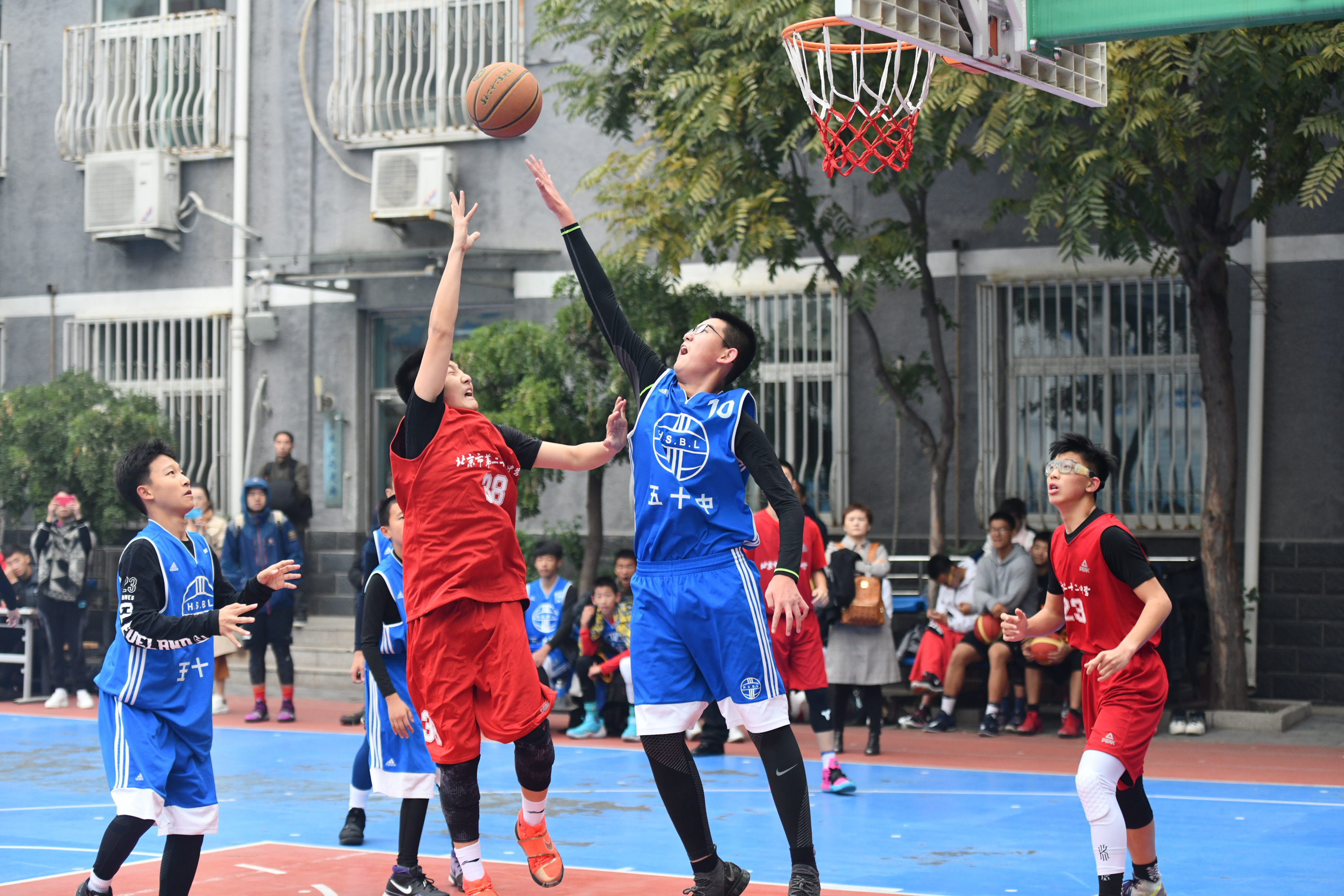 从百队杯青 从百队杯青